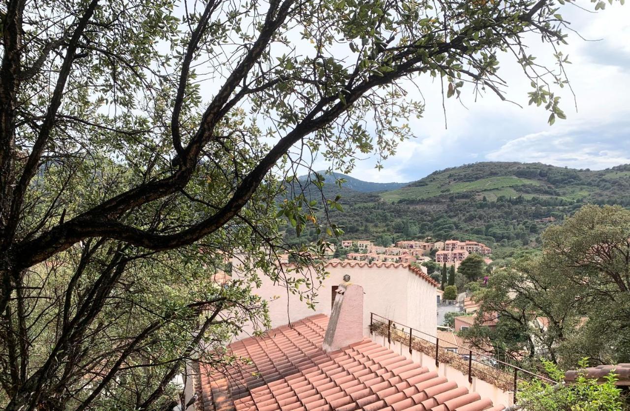 Les Chênes-lièges d'Ambeille Apartamento Collioure Exterior foto