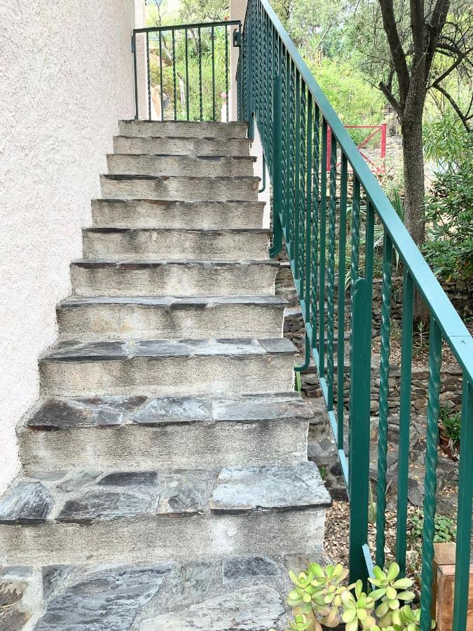 Les Chênes-lièges d'Ambeille Apartamento Collioure Exterior foto